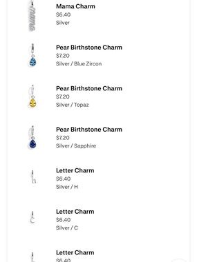 Silver charm bracelet starters